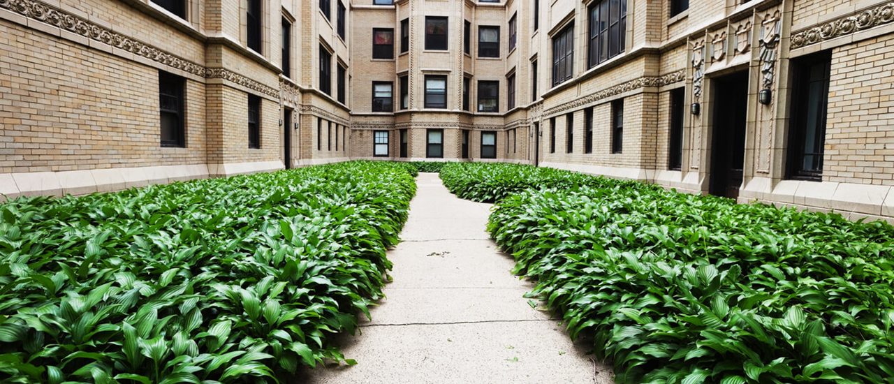 NS Property Management